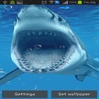Además de los fondos de pantalla animados para Android Transmutación, descarga la apk gratis de los salvapantallas Tiburones.