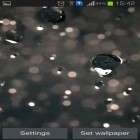 Además de los fondos de pantalla animados para Android Flores de plastilina , descarga la apk gratis de los salvapantallas Lluvia brillante HD.