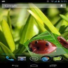 Además de los fondos de pantalla animados para Android Flores dulces, descarga la apk gratis de los salvapantallas Smart cube.