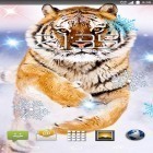 Además de los fondos de pantalla animados para Android Gatito, descarga la apk gratis de los salvapantallas Tigre de la nieve.