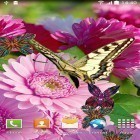 Además de los fondos de pantalla animados para Android Relojes modernos , descarga la apk gratis de los salvapantallas Flores de primavera 3D.