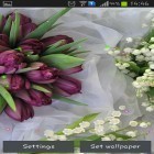 Además de los fondos de pantalla animados para Android , descarga la apk gratis de los salvapantallas Lirios y tulipanes de primavera.