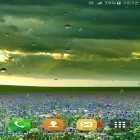 Además de los fondos de pantalla animados para Android Ahora las montañas, descarga la apk gratis de los salvapantallas Lluvia de primavera.