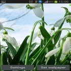 Además de los fondos de pantalla animados para Android Nieve, descarga la apk gratis de los salvapantallas Campanillas verdes de primavera.