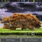 Además de los fondos de pantalla animados para Android Árbol de casa, descarga la apk gratis de los salvapantallas Tormenta de primavera.