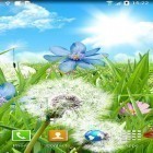 Además de los fondos de pantalla animados para Android Cosmos   , descarga la apk gratis de los salvapantallas Flores de verano.