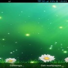 Además de los fondos de pantalla animados para Android , descarga la apk gratis de los salvapantallas Flores de verano.