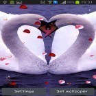 Además de los fondos de pantalla animados para Android Snowboarding, descarga la apk gratis de los salvapantallas Cisnes: Amor.