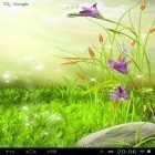 Además de los fondos de pantalla animados para Android Corazones de neón , descarga la apk gratis de los salvapantallas Flores brillantes .