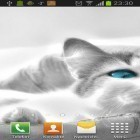 Además de los fondos de pantalla animados para Android Nieve: Noche, descarga la apk gratis de los salvapantallas Gatos blancos.
