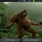 Además de los fondos de pantalla animados para Android Nexus. Triángulos , descarga la apk gratis de los salvapantallas Baile  salvaje del mono loco.