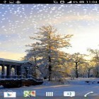 Además de los fondos de pantalla animados para Android Océano HD, descarga la apk gratis de los salvapantallas Invierno.
