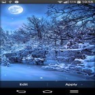 Además de los fondos de pantalla animados para Android Noche de sueños, descarga la apk gratis de los salvapantallas Invierno .