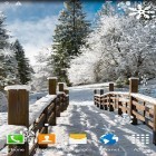 Además de los fondos de pantalla animados para Android Coches 3D , descarga la apk gratis de los salvapantallas Paisajes de invierno .