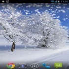 Además de los fondos de pantalla animados para Android Reflejo de la luz , descarga la apk gratis de los salvapantallas Invierno: Nieve .