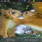 Además de los fondos de pantalla animados para Android Búho pequeño de otoño, descarga la apk gratis de los salvapantallas Ardilla de invierno.