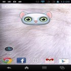 Además de los fondos de pantalla animados para Android Planetas  , descarga la apk gratis de los salvapantallas Zoológico: Gata.